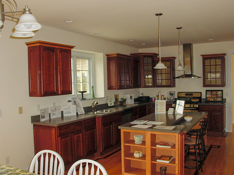 Another Universal Design kitchen in the Chicagoland area.